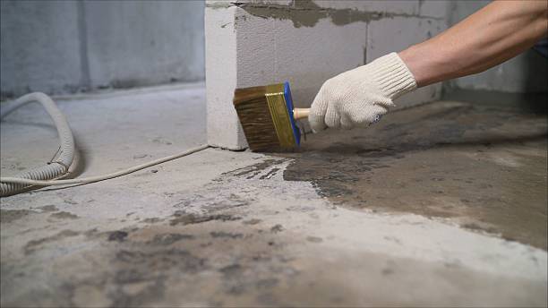 SJ Waterproofing Pros Sump Pump Installation coverage map for Romulus, NY and surrounding area